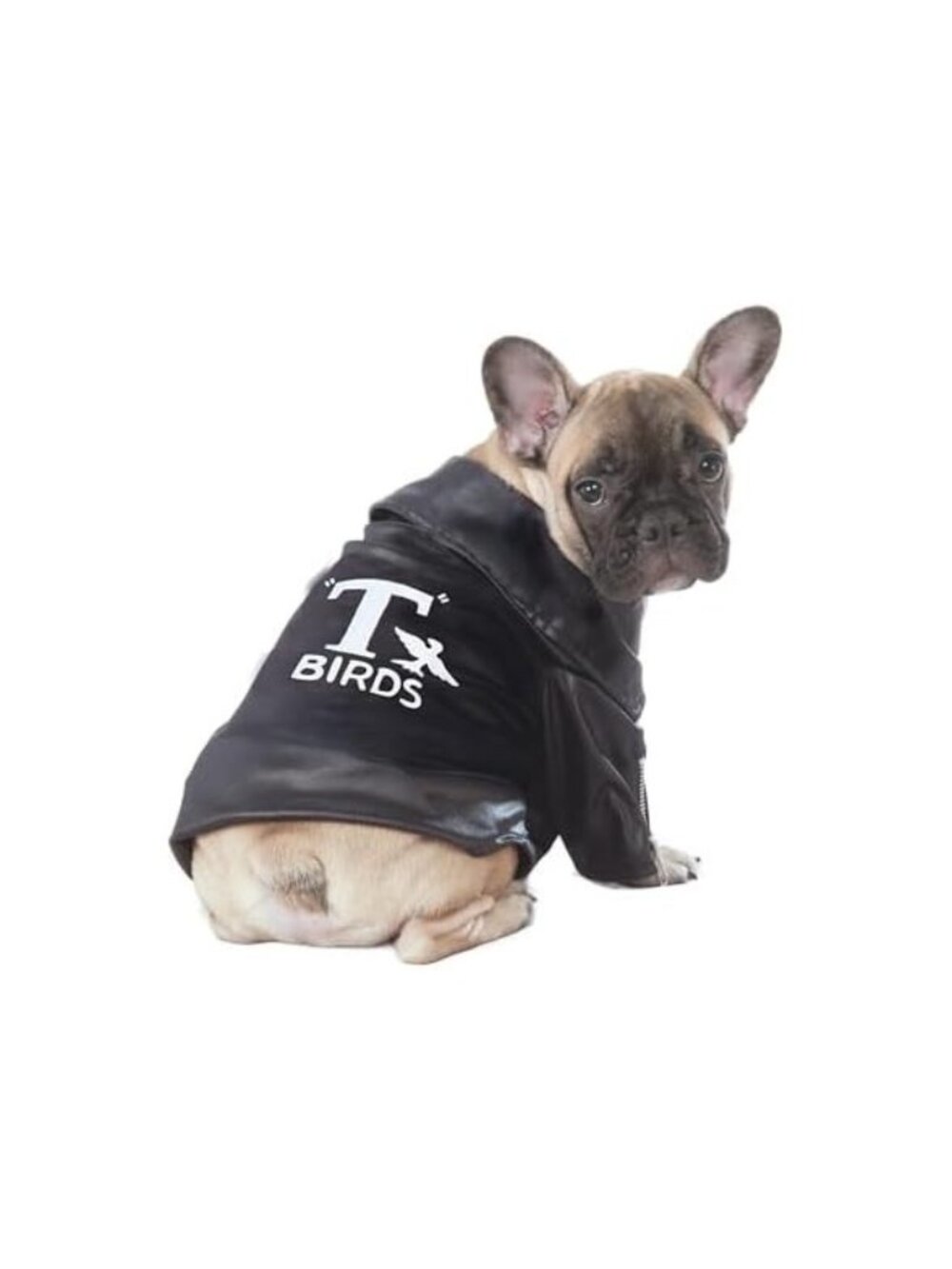 Rubie’s Grease T-Birds Pet Costume Jacket Dog Cat XL 30-45 lbs Licensed New